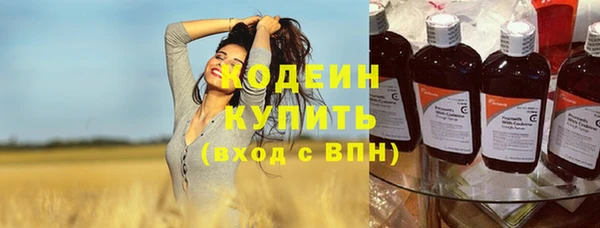 прущие грибы Абинск