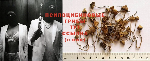 мдма Осташков