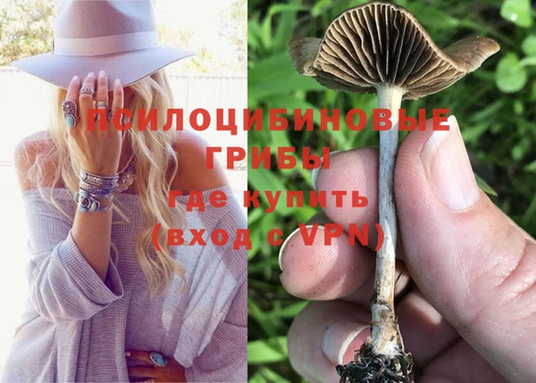 мдма Осташков