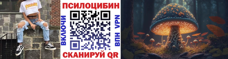 blacksprut зеркало Струнино Псилоцибиновые грибы GOLDEN TEACHER
